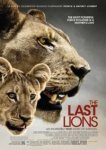  Последние львы 