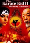  Парень-каратист 2 