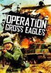  Операция «Орлиный крест» 