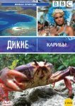  BBC: Дикие Карибы 