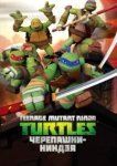  Черепашки ниндзя 