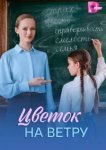  Цветок на ветру 