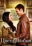  Цвета любви 