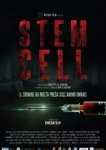  Стволовые клетки 