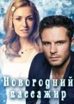  Новогодний пассажир 
