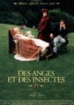  Ангелы и насекомые 