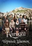  Черный цветок 