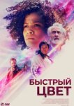  Быстрый цвет 