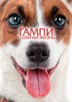  Гампи. Собачья жизнь 