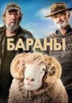  Бараны 