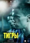  Тигры 