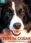  BBC: Секреты собак 