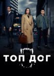  Топ дог 