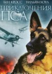  Приключения пса 