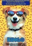  Бинго 