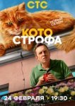  Котострофа 