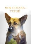  Моя собака — герой 