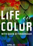  Жизнь в цвете с Дэвидом Аттенборо 