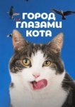  Город глазами кота 