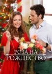  Роза на Рождество 