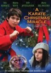  Рождественское чудо в стиле карате 