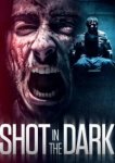  Выстрел в темноте 