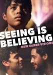 Новые квир-видения: Видеть значит верить 