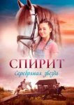  Спирит. Серебряная звезда 