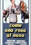  Как роза у носа 