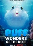  Чудеса кораллового рифа 