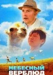  Небесный верблюд 