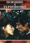  Поющие в терновнике 