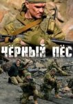  Чёрный пёс 
