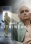  Литвиненко 
