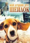  Мой лучший друг Шейлок 