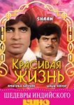  Красивая жизнь 