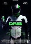  ДРИБ 