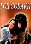  Год собаки 