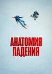  Анатомия падения 