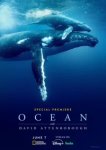 Дэвид Аттенборо: Океан