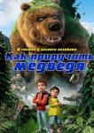  Как приручить медведя 
