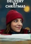  Рождественская доставка 