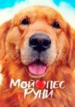  Мой пёс Руни 