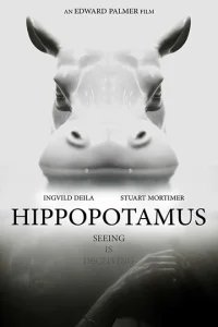  Гиппопотам 