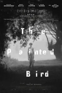  Раскрашенная птица 