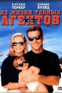  Из жизни тайных агентов 