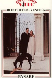  Венецианская тьма 