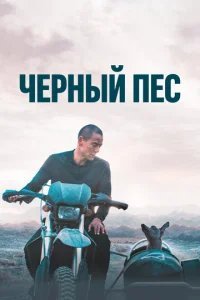  Чёрный пёс 