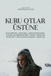  О сухой траве 