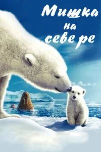  Мишка на Севере 